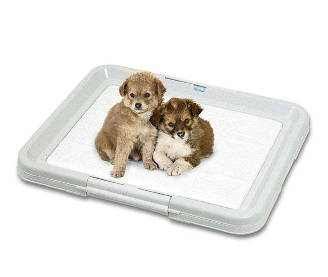 Karlie PUPPY POTTY das Welpen WC