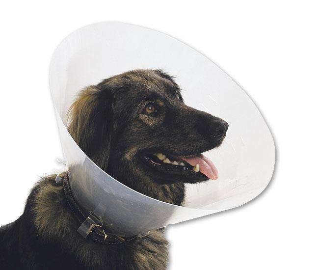 Karlie Schutzkragen - 45 bis 55 cm