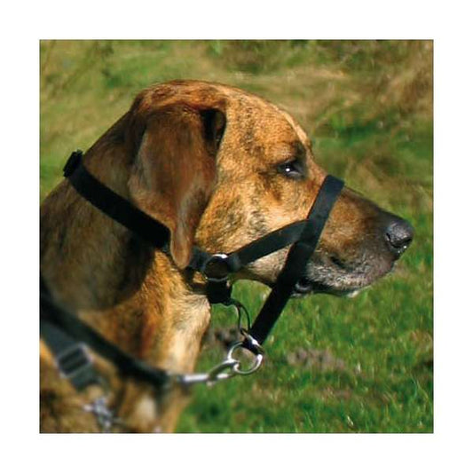 Trixie Top Trainer Ausbildungsgeschirr - max. 40 cm (kurz)