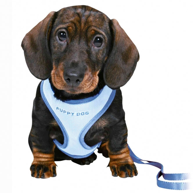 Trixie Welpengarnitur für kleine Rassen - blau