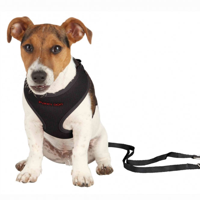 Trixie Welpengarnitur - schwarz