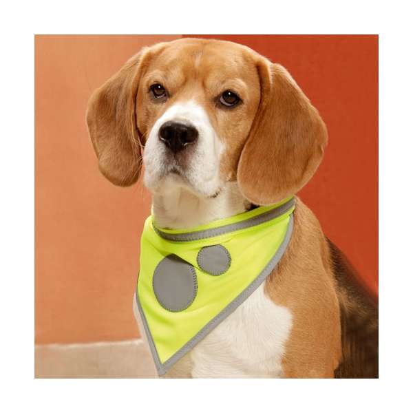 Karlie Safety Dog Sicherheitshalstuch - Gelb - 48-60cm / 30mm