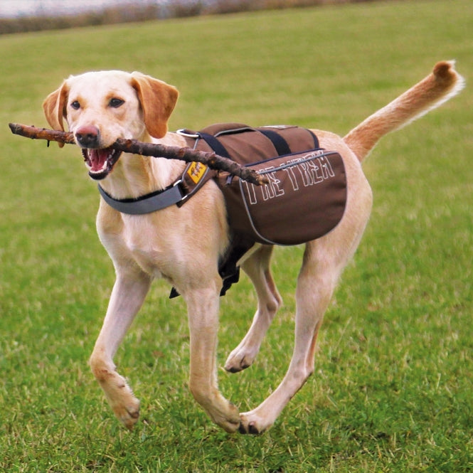 Trixie Rucksack für Hunde