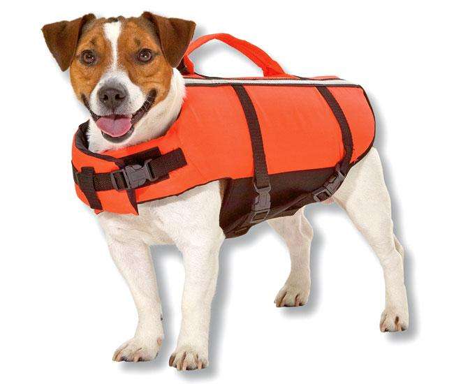 Kerbl Hunde-Schwimmweste - 48-60 cm / 36 cm