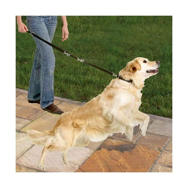 Karlie Protector Plus Hundebremse - 25mm/45cm