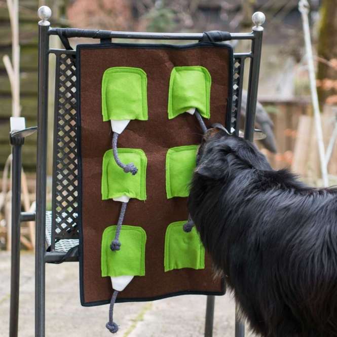 PROCYON Action-Schnüffelmatte