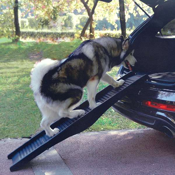 Pet-Star klappbare Hunderampe