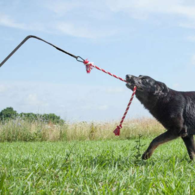 Tether Tug - Made in USA - XXL