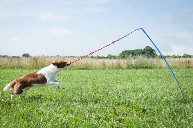 Tether Tug - Made in USA - L