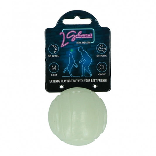 2Glow Fetch and catch 2 match- Leuchtball