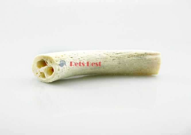 Pets Best Wasserbüffel-Innenhorn - Medium - ca. 12-15cm