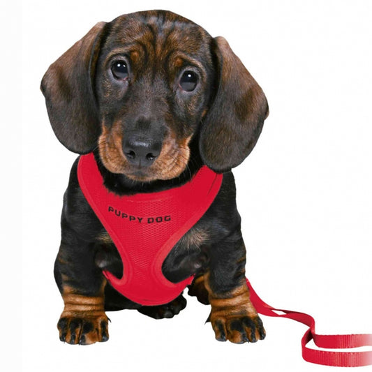 Trixie Welpengarnitur für kleine Rassen - rot