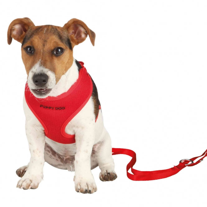 Trixie Welpengarnitur - rot