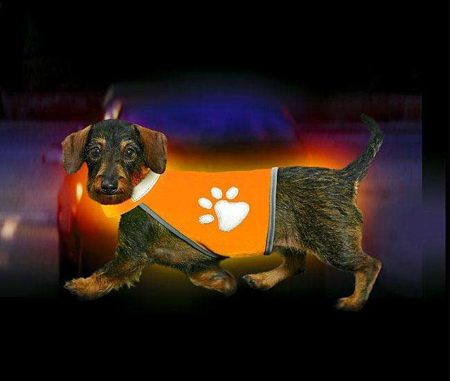 Karlie SAFETY-DOG Sicherheitsweste - Orange - M