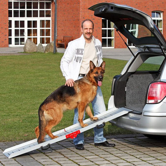 Karlie Flamingo Autohunderampe aus Aluminium