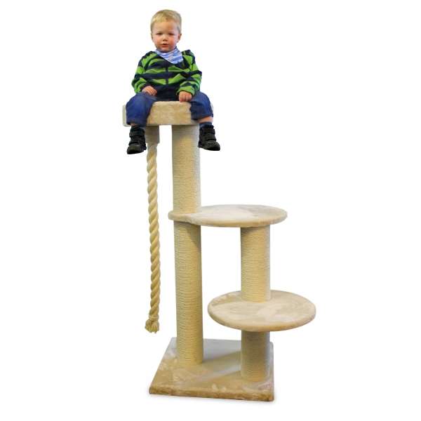 Kratzbaum Maine Coon 4 - Beige