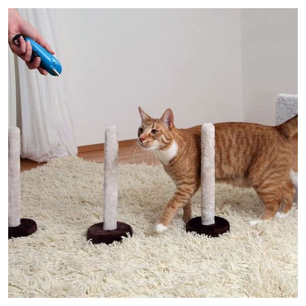 Trixie Cat Agility Slalom und Reifen