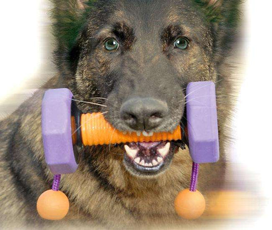 Karlie LIND-ART Apportier-Training NEW APPORT - 500 g