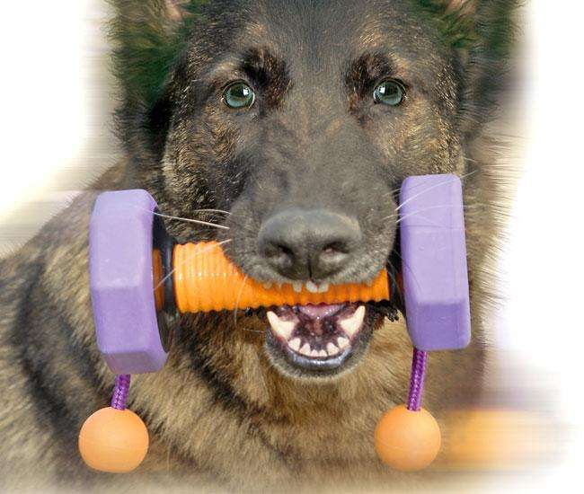 Karlie LIND-ART Apportier-Training NEW APPORT - 650 g