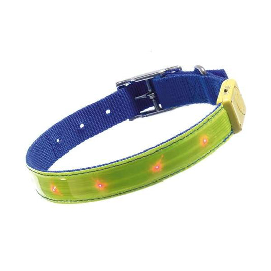 Karlie Safety Light - blinkendes Sicherheitshalsband - M