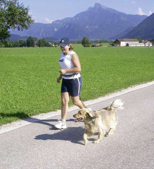 Kerbl ACTIVE LEADER Spiralleine mit Hüftgurt