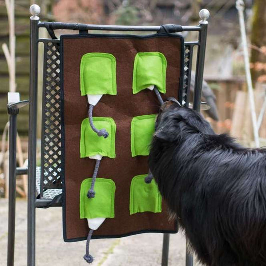 PROCYON Action-Schnüffelmatte