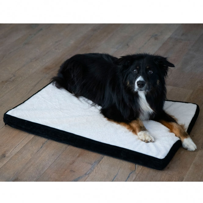 PROCYON Hundematte - Schwarz