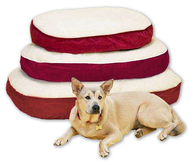 Pet-Star Liegekissen SLEEPY - XL