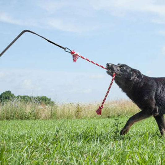 Tether Tug - Made in USA - XXL