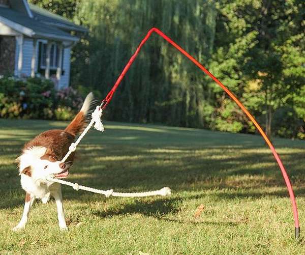 Tether Tug - Made in USA - M